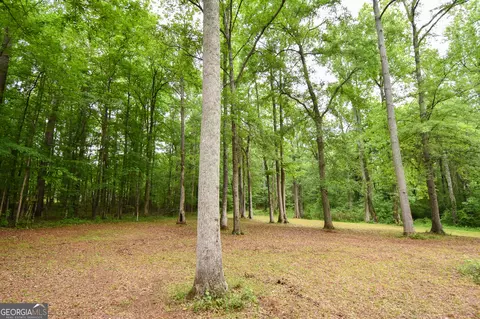 0 Hemphill Rd, Griffin, GA 30224 photo 19