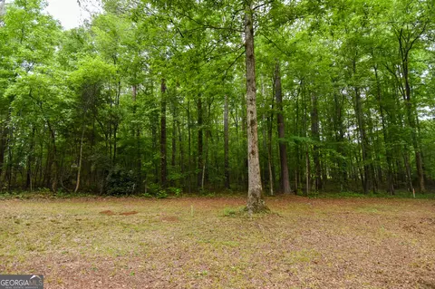 0 Hemphill Rd, Griffin, GA 30224 photo 20