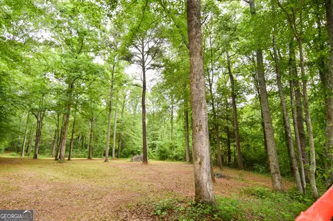 0 Hemphill Rd, Griffin, GA 30224 photo 12