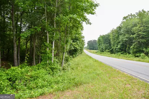 0 Hemphill Rd, Griffin, GA 30224 photo 8