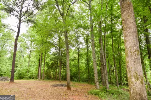 0 Hemphill Rd, Griffin, GA 30224 photo 15