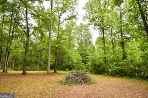 0 Hemphill Rd, Griffin, GA 30224 photo 18