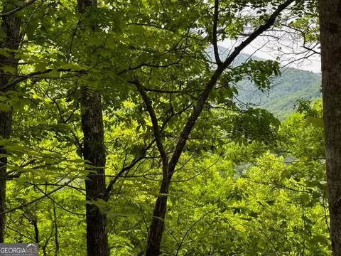 APT 6 Pounding Mill Overlook, Hayesville, NC 28904