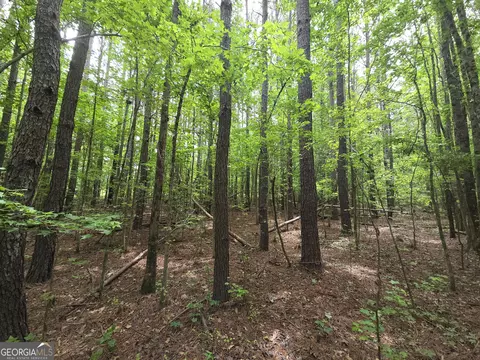 Other - 395 E Milner Rd, Zebulon, GA 30295 photo 16 of 21