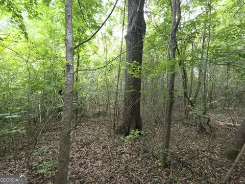 Other - 395 E Milner Rd, Zebulon, GA 30295 photo 17 of 21