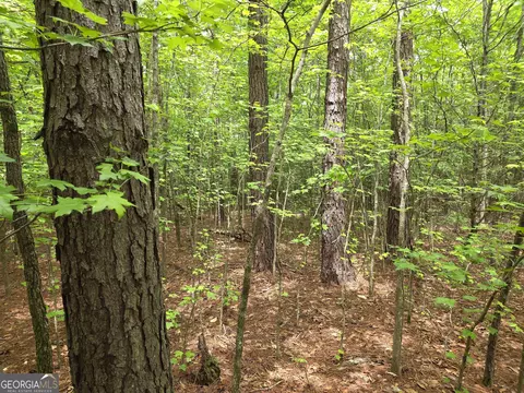 Other - 395 E Milner Rd, Zebulon, GA 30295 photo 15 of 21