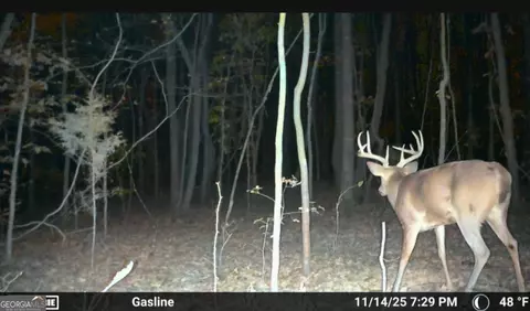 Other - 395 E Milner Rd, Zebulon, GA 30295 photo 19 of 21
