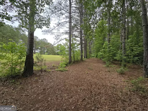 Other - 395 E Milner Rd, Zebulon, GA 30295 photo 14 of 21