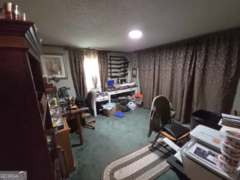 Other - 395 E Milner Rd, Zebulon, GA 30295 photo 12 of 21