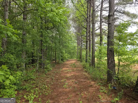 Other - 395 E Milner Rd, Zebulon, GA 30295 photo 18 of 21