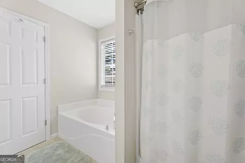 Bath - 1059 Arbor Way, Mcdonough, GA 30253 photo 4 of 4