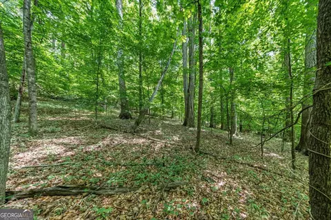 0 Collett Dr, Canton, GA 30115 photo 24