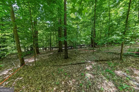 0 Collett Dr, Canton, GA 30115 photo 19