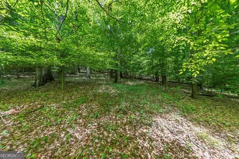 0 Collett Dr, Canton, GA 30115 photo 22