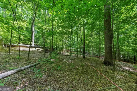 0 Collett Dr, Canton, GA 30115 photo 18