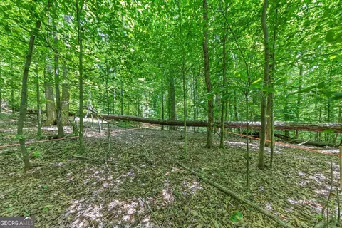 0 Collett Dr, Canton, GA 30115 photo 30