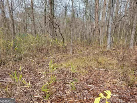 0 Lakeridge Dr, Temple, GA 30179 photo 6
