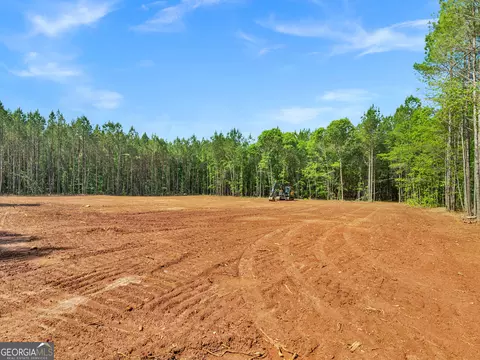 446 Parks Rd, Forsyth, GA 31029 photo 2