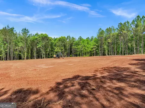 446 Parks Rd, Forsyth, GA 31029 photo 4