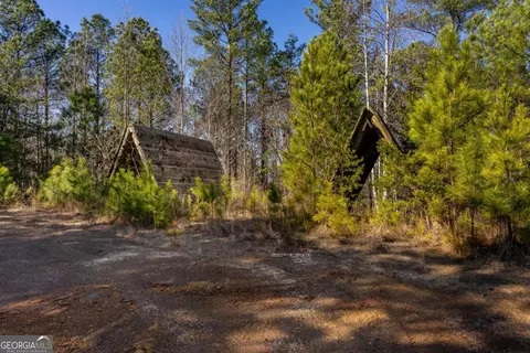825 Young Loop, Fairmount, GA 30139 photo 30