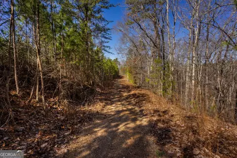 825 Young Loop, Fairmount, GA 30139 photo 28