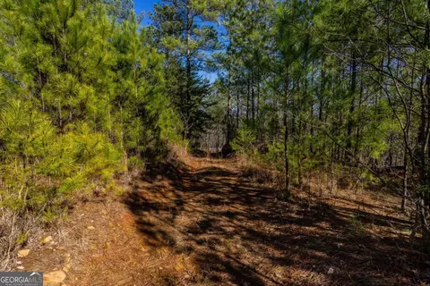 825 Young Loop, Fairmount, GA 30139 photo 32