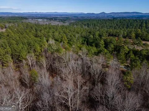 825 Young Loop, Fairmount, GA 30139 photo 9