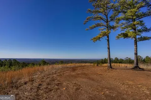 825 Young Loop, Fairmount, GA 30139 photo 7