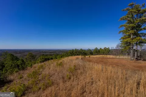 825 Young Loop, Fairmount, GA 30139 photo 23