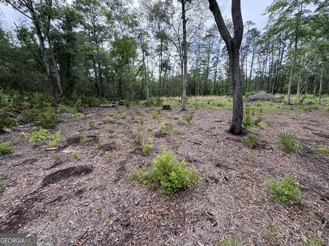 0 Piney Bluff Lot 5 Rd, Waverly, GA 31565