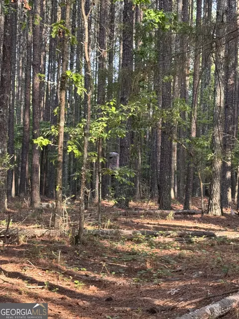 0 Conger Rd, Union Point, GA 30669 photo 6