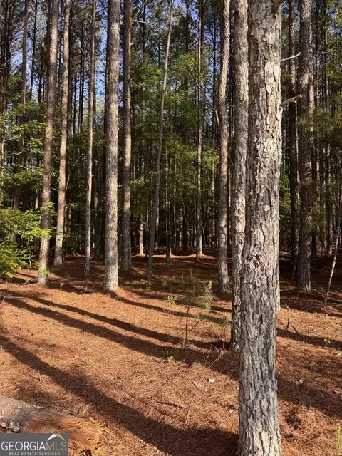 0 Conger Rd, Union Point, GA 30669 photo 2