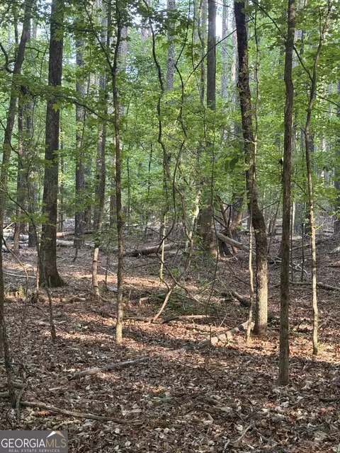 0 Conger Rd, Union Point, GA 30669 photo 3