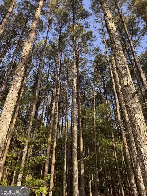 0 Conger Rd, Union Point, GA 30669