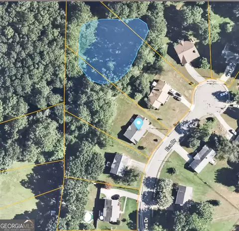 View/Area - 93 Eva Dr, Hampton, GA 30228 photo 5 of 5