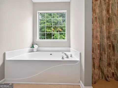Bath - 93 Eva Dr, Hampton, GA 30228 photo 2 of 3