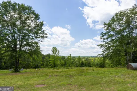 Exterior - 655 White Rd, Thomaston, GA 30286 photo 10 of 11