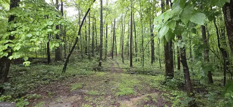 0 Brewsterfield Rd, Cedartown, GA 30125