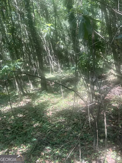 Undisclosed, Mcintyre, GA 31054