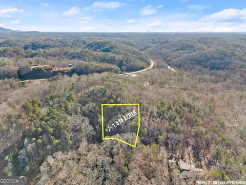 0 Golden Lot 2 Ave, Dahlonega, GA 30533