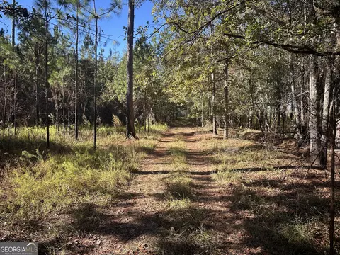 0 Buck Creek Rd, Sylvania, GA 30467