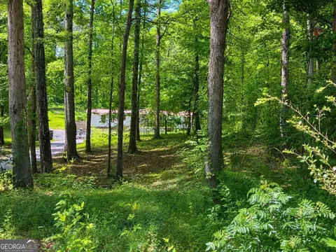 Exterior - 400 Kellogg Dr, Colbert, GA 30628 photo 3 of 14