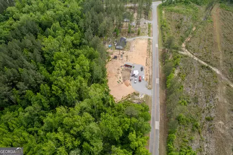 lot1 County Line Rd, Mitchell, GA 30820 photo 10
