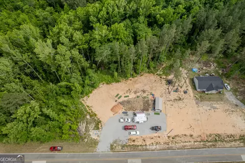 lot1 County Line Rd, Mitchell, GA 30820 photo 6