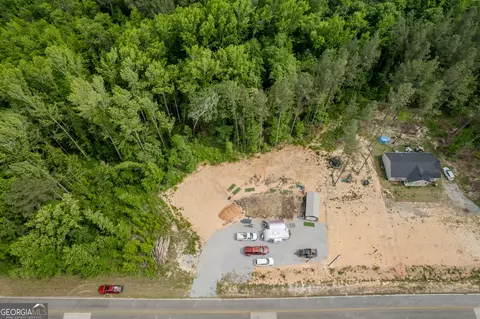 lot1 County Line Rd, Mitchell, GA 30820 photo 7