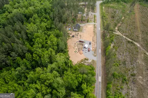 lot1 County Line Rd, Mitchell, GA 30820 photo 11