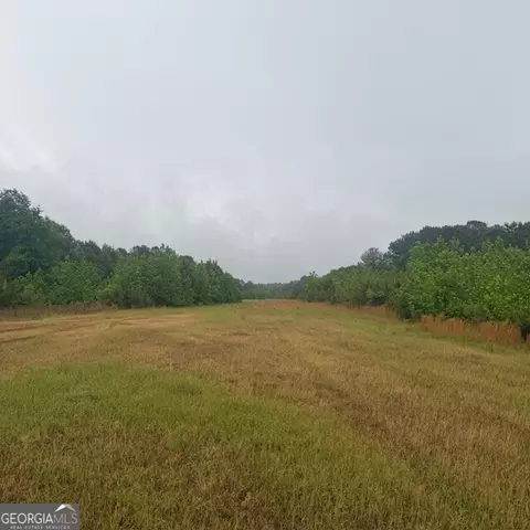 145 Acres George Smith Rd, Talbotton, GA 31827