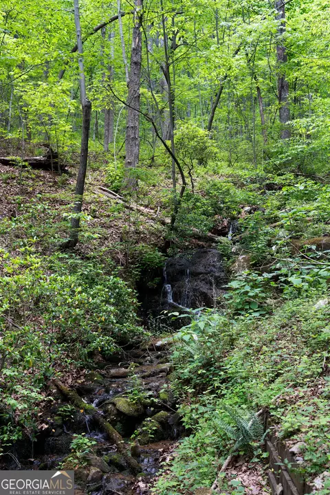 Other - 412 Indian Trl, Jasper, GA 30143 photo 6 of 11