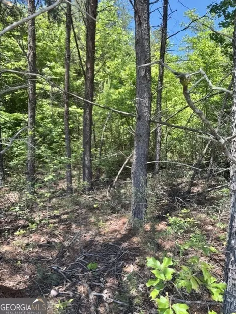 7 66 Acs Keener Rd, Toccoa, GA 30577 photo 8