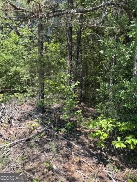 7 66 Acs Keener Rd, Toccoa, GA 30577 photo 5
